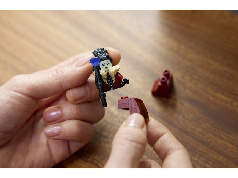 LEGO Icons - Sídlo starostky