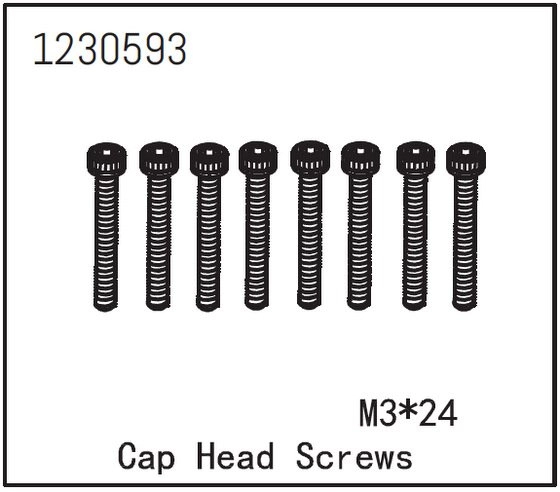 Cap Head Screw M3*24 (8)