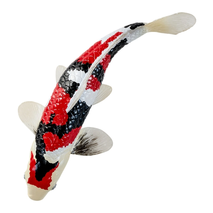 Mojo Kapr koi showa sanshoku