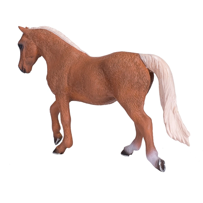 Mojo Kůň morgan palomino