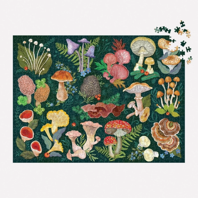 Galison Puzzle Svet húb 1000 dielikov