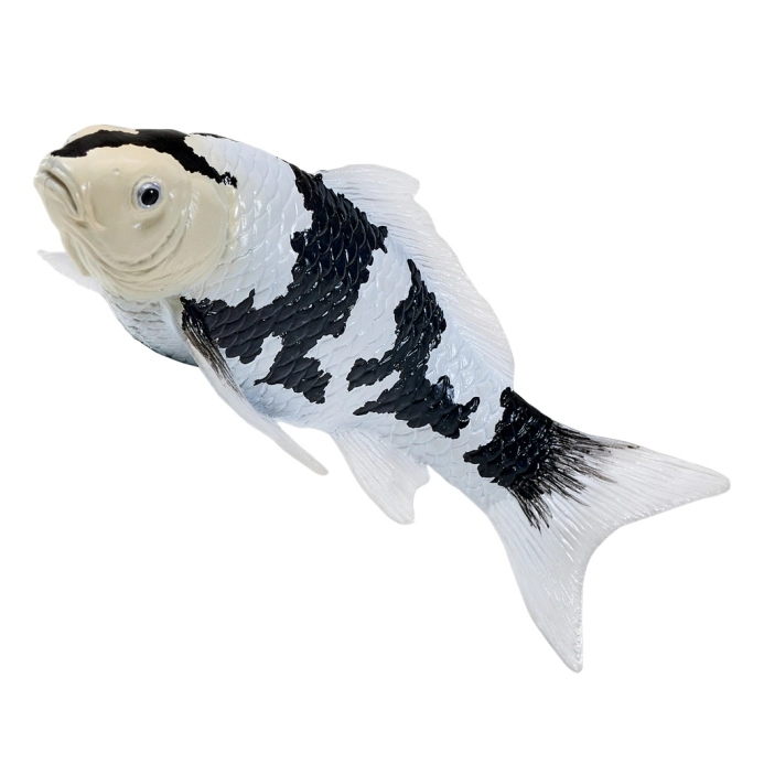 Mojo Kapr koi shiro utsuri