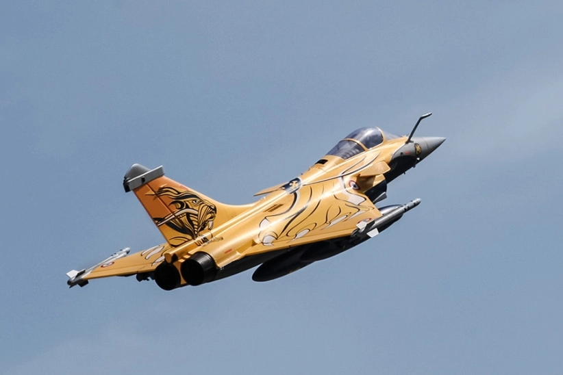 Dassault Rafale 974 mm s EDF 80 mm