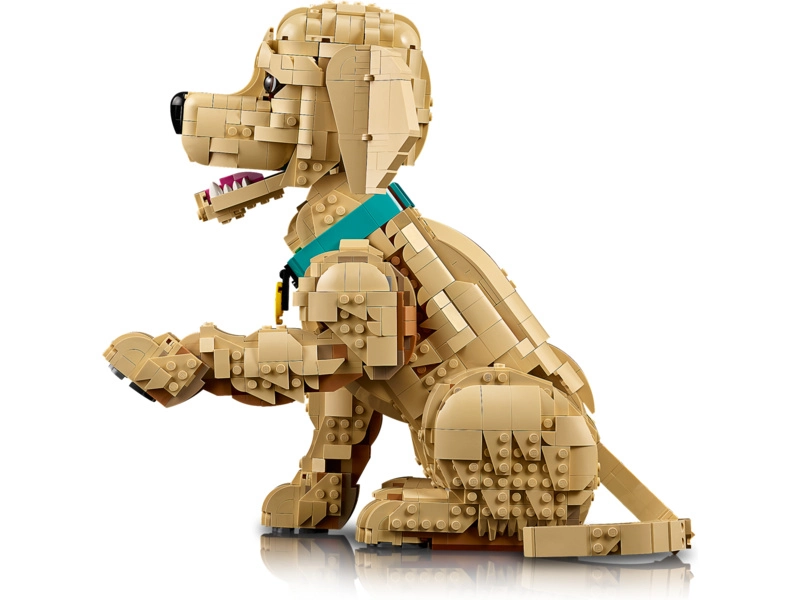 LEGO Icons - Štěně zlatého retrívra
