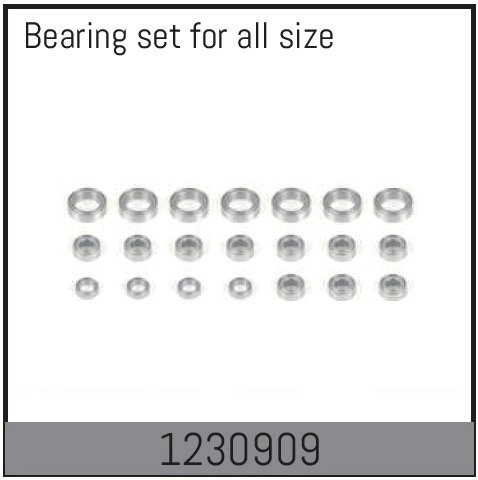 1230909 - Complete Bearing Set