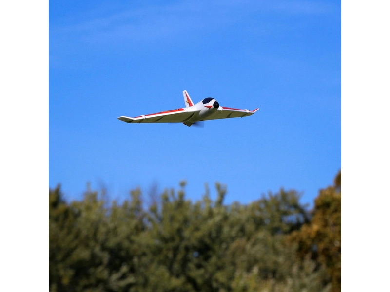 E-flite Delta Ray One 0.5m SAFE RTF