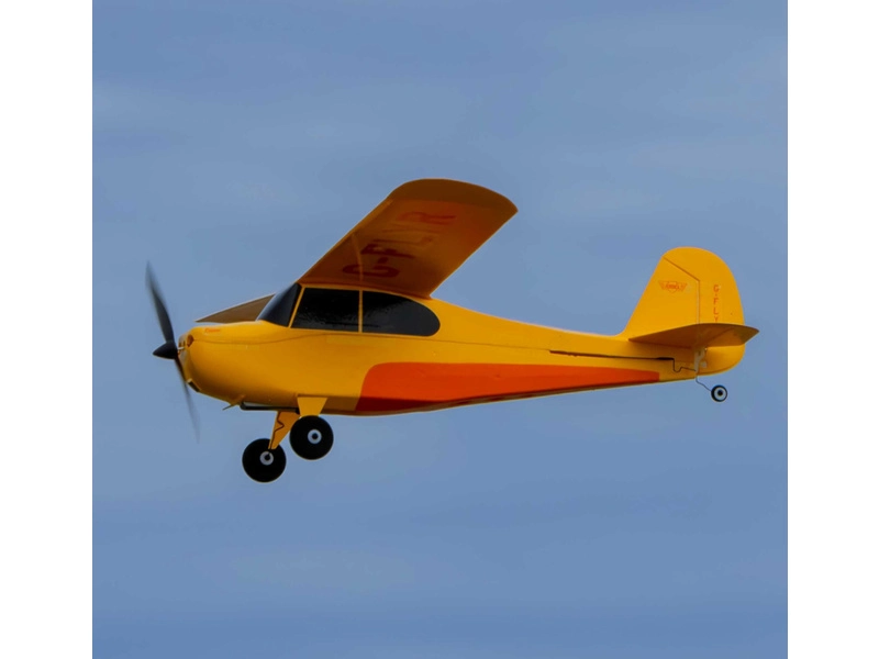 Hobbyzone Champ Anniversary Special Edition 515mm SAFE BNF Basic