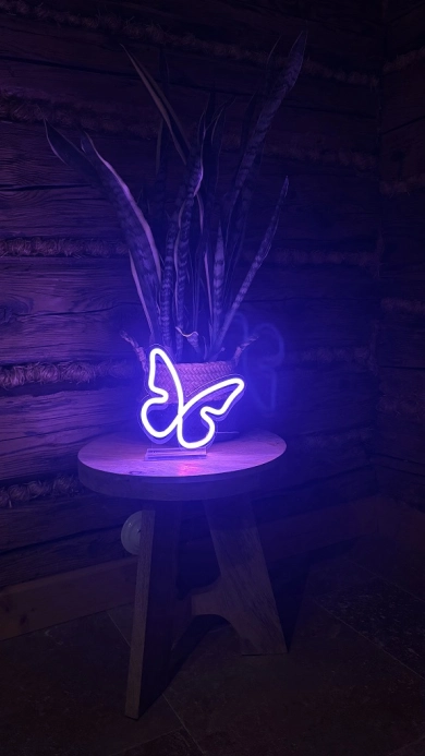 2Kids Toys LED NEON LIGHT lampička Motýlik