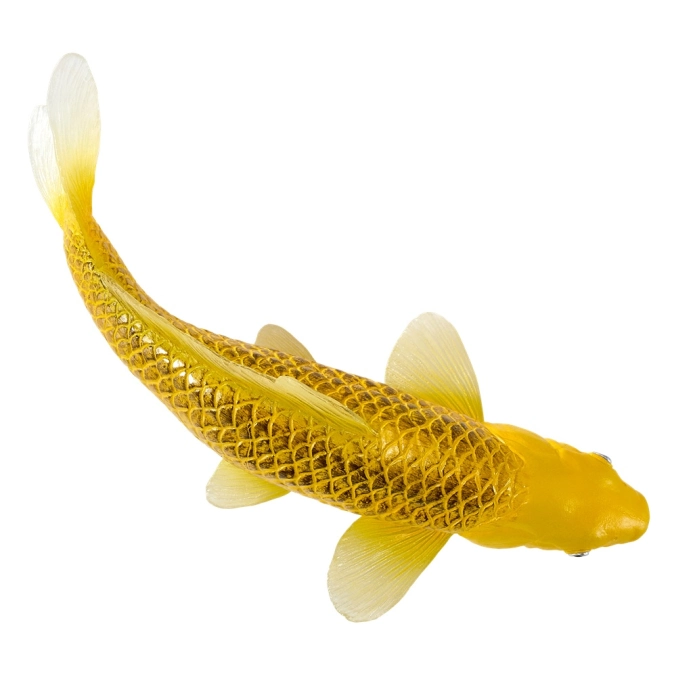 Mojo Kapr koi kin matsuba
