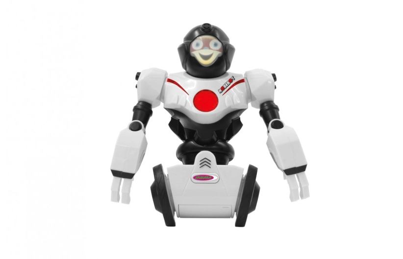 Robot Robibot