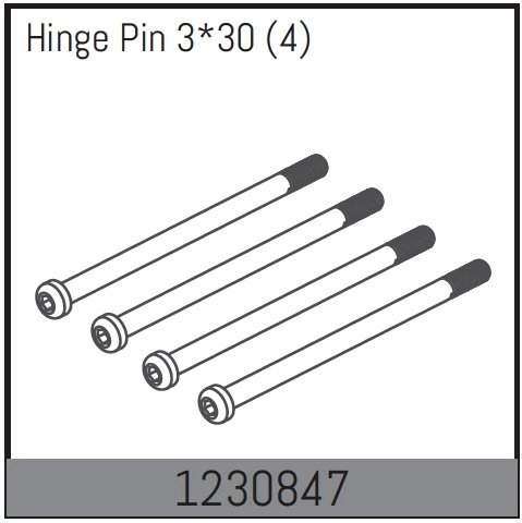 1230847 - Inner Hinge Pin 33x30mm (4)