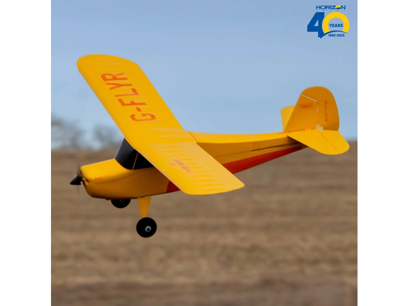 Hobbyzone Champ Anniversary Special Edition 515mm SAFE BNF Basic