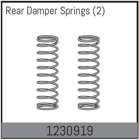 1230919 - Rear Damper Spring (2)