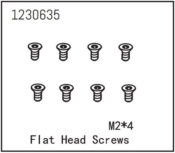Flat Head Screw M2*4 (8)