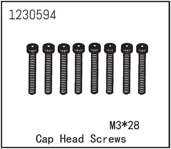 Cap Head Screw M3*28 (8)