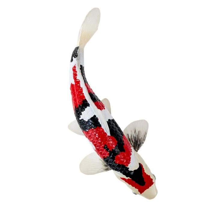 Mojo Kapr koi showa sanshoku