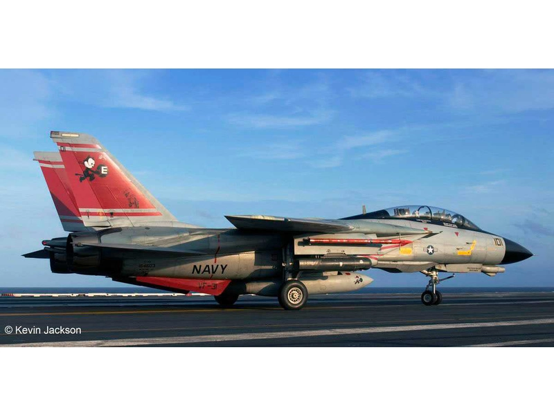 Revell F-14D Super Tomcat (1:72)
