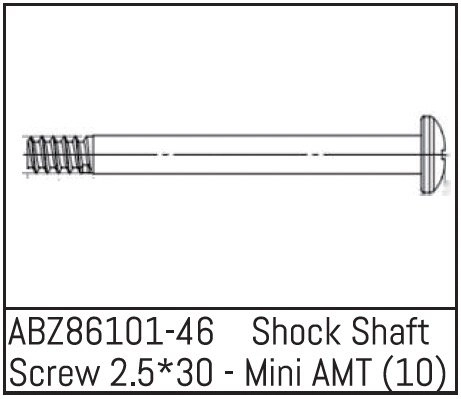 ABZ86101-46 - Shock Shaft Screw 2.5*30 - Mini AMT (10)
