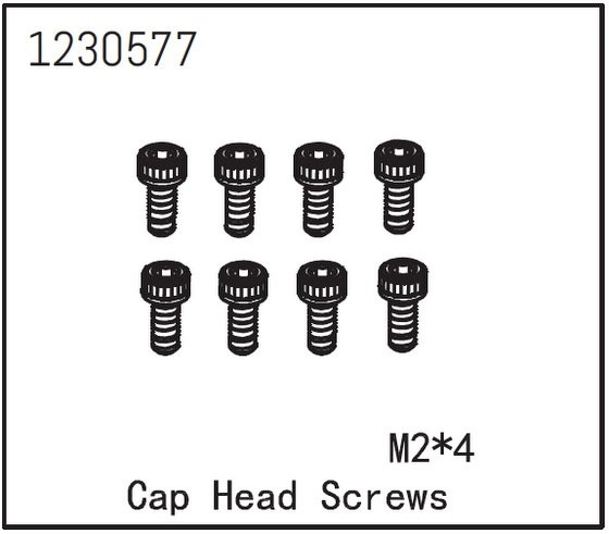 Cap Head Screw M2*4 (8)