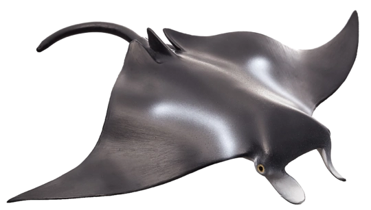 Mojo Rejnok manta