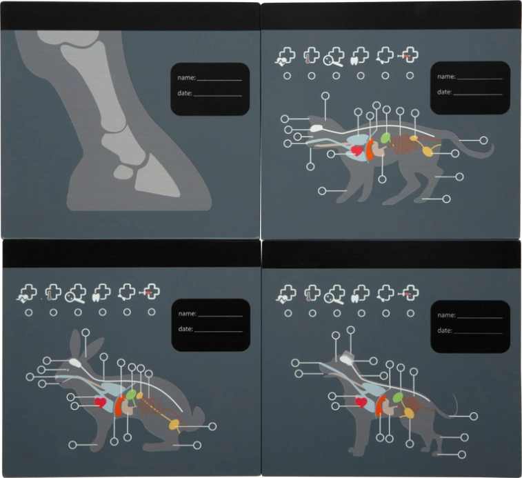 small foot Plyšový králíček s pečovatelskou veterinární sadou