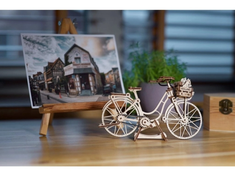 Ugears 3D dřevěné mechanické puzzle Kolo Holland