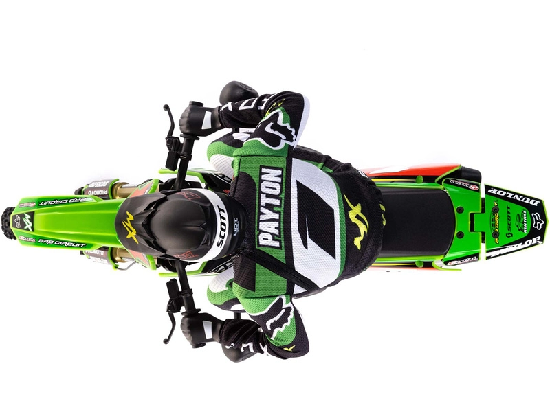 Losi Promoto-MX Motorcycle 1:4 RTR, Pro Circuit