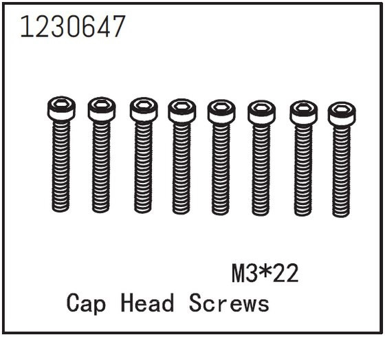 1230647 - Cap Head Screws M3*22 (8)