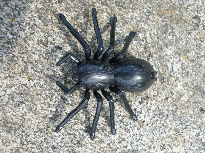 RC pavouk