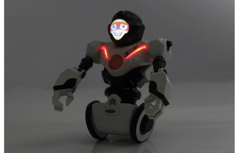 Robot Robibot