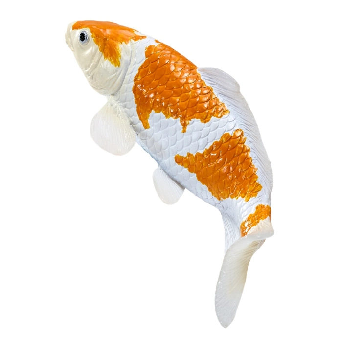 Mojo Kapr koi ochiba shigure