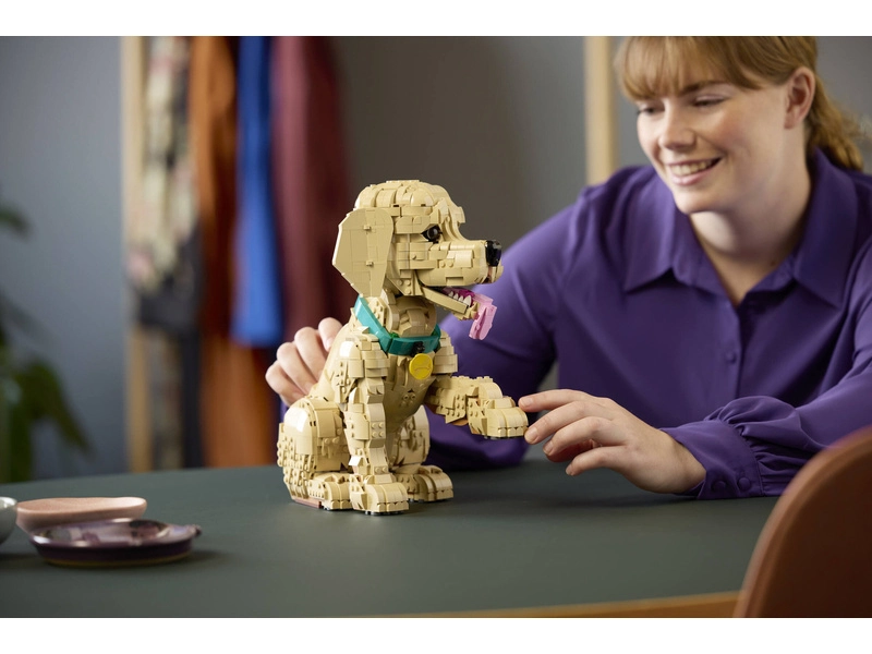 LEGO Icons - Štěně zlatého retrívra