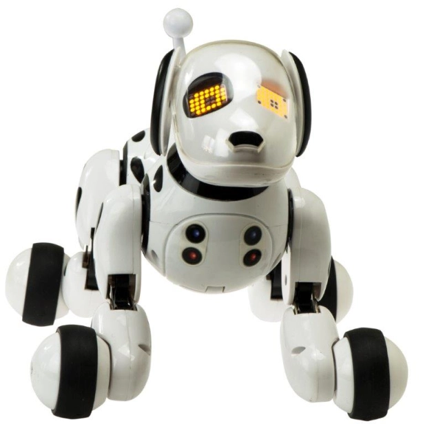 RC Robopes, čierna