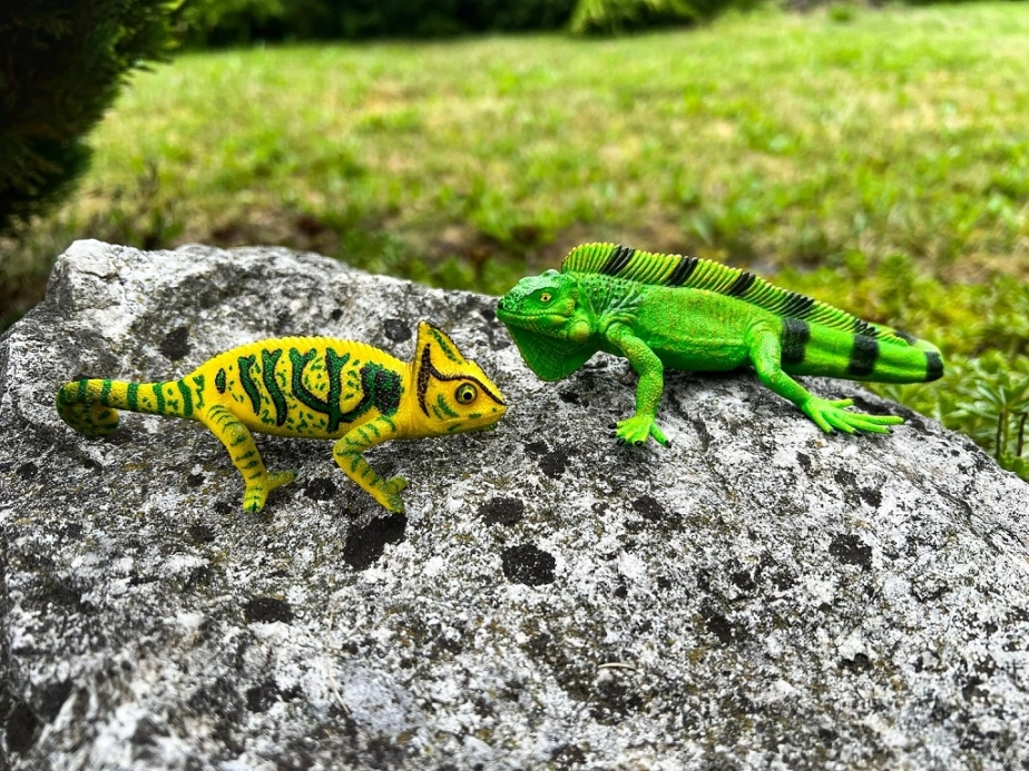 Mojo Chameleon