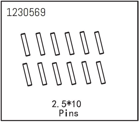 Piny 2,5×10 (12)