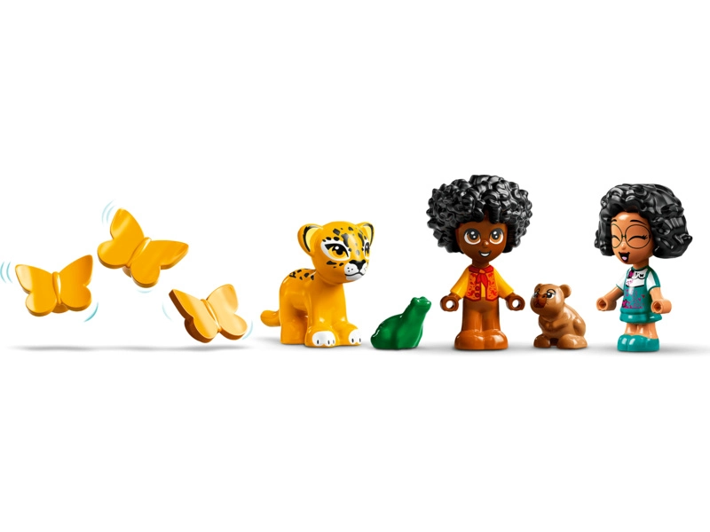LEGO Disney Princess - Antoniine čarovné dvere