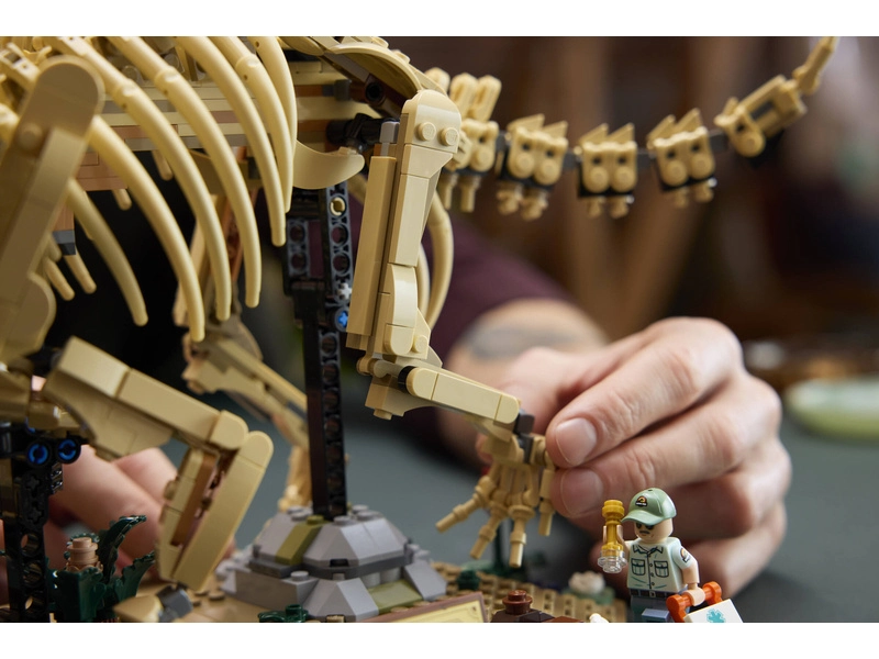 LEGO Jurassic World - Dinosauří fosilie: Triceratops