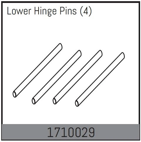 Lower Hinge Pins (4)