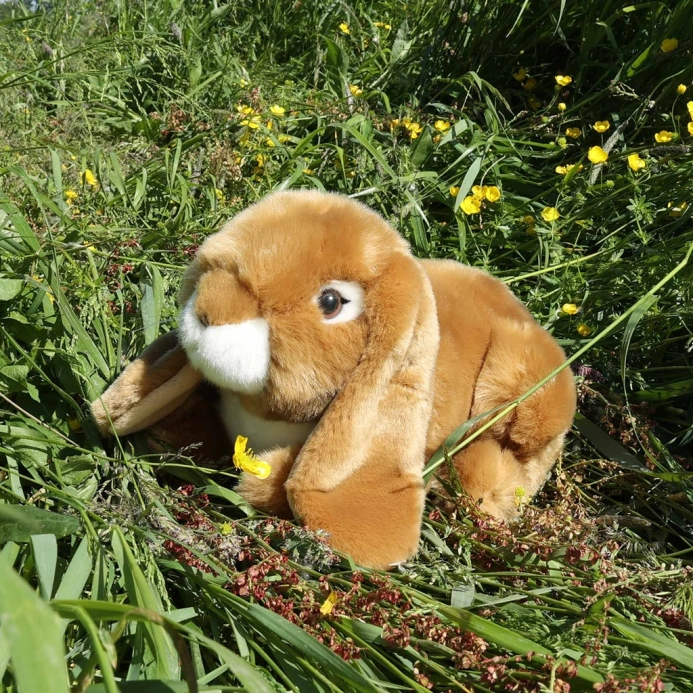 Rappa Plyšový králik hnedý 25 cm ECO-FRIENDLY