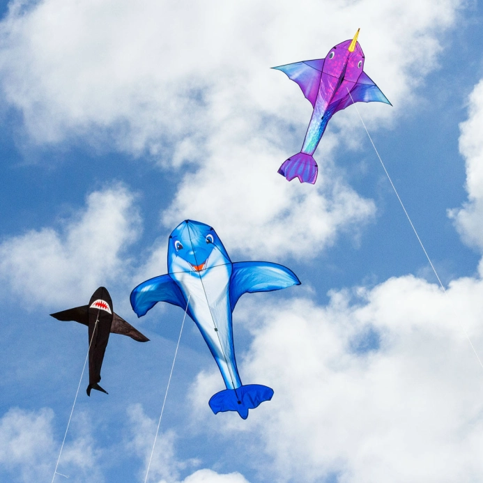 Lietajúci šarkan Dolphin Kite
