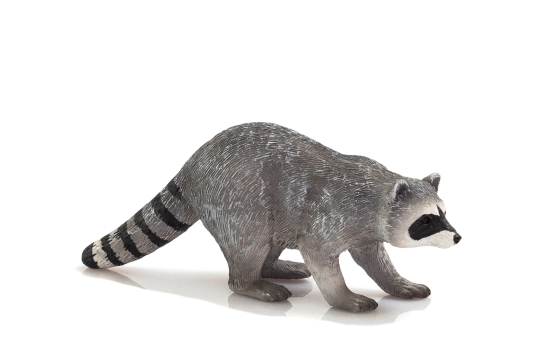 Mojo Mýval