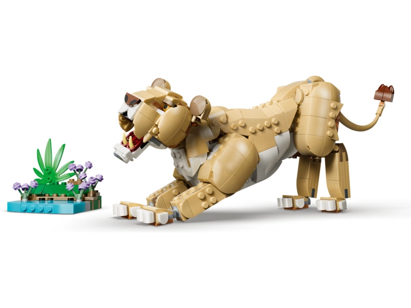 LEGO Creator - Divoká zvířata: Majestátní lev