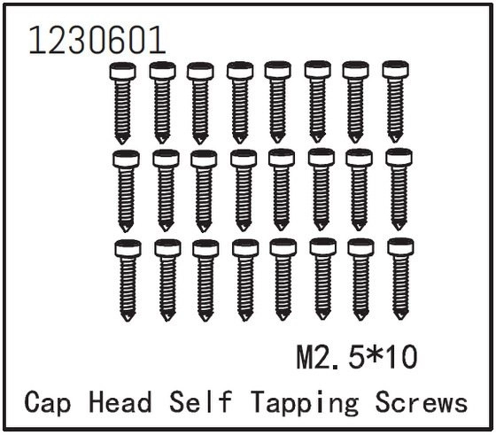 Self-tapping Cap Screw M2.5*12 (24)