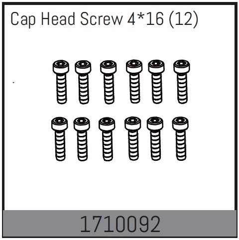 Cap Head Screw 4*16 (12)