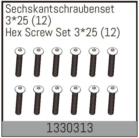 Hex Screw Set 3*25 (12)