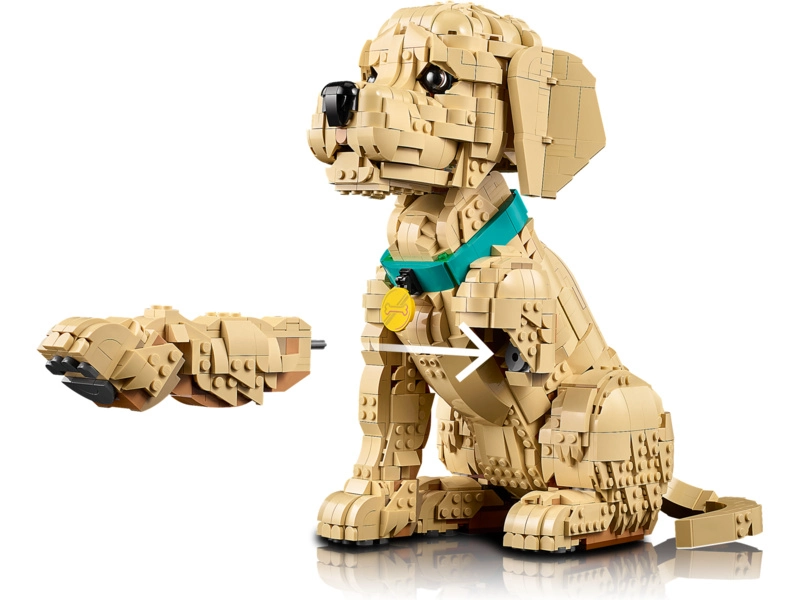 LEGO Icons - Štěně zlatého retrívra