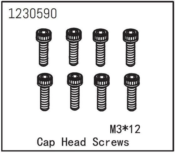 Cap Head Screw M3*12 (8)