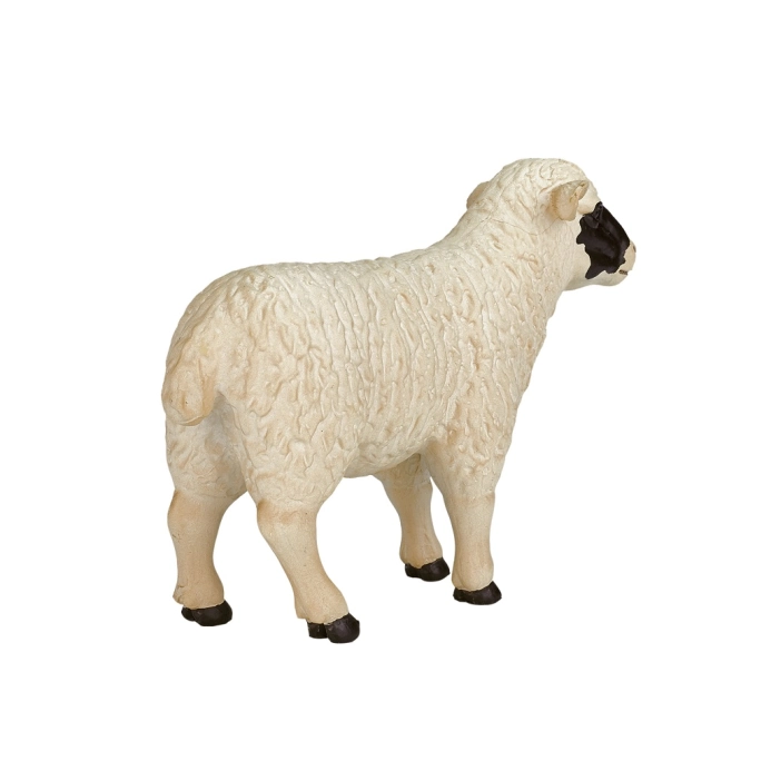 Mojo Hampshire ovce