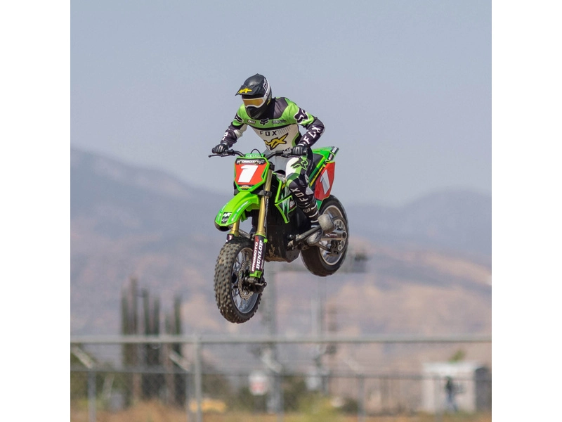 Losi Promoto-MX Motorcycle 1:4 RTR, Pro Circuit