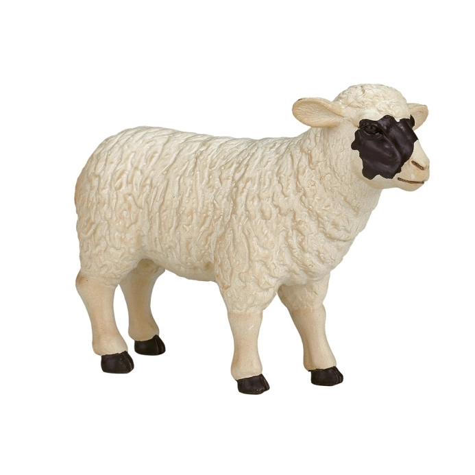 Mojo Hampshire ovce